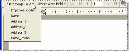 Mail merge fields